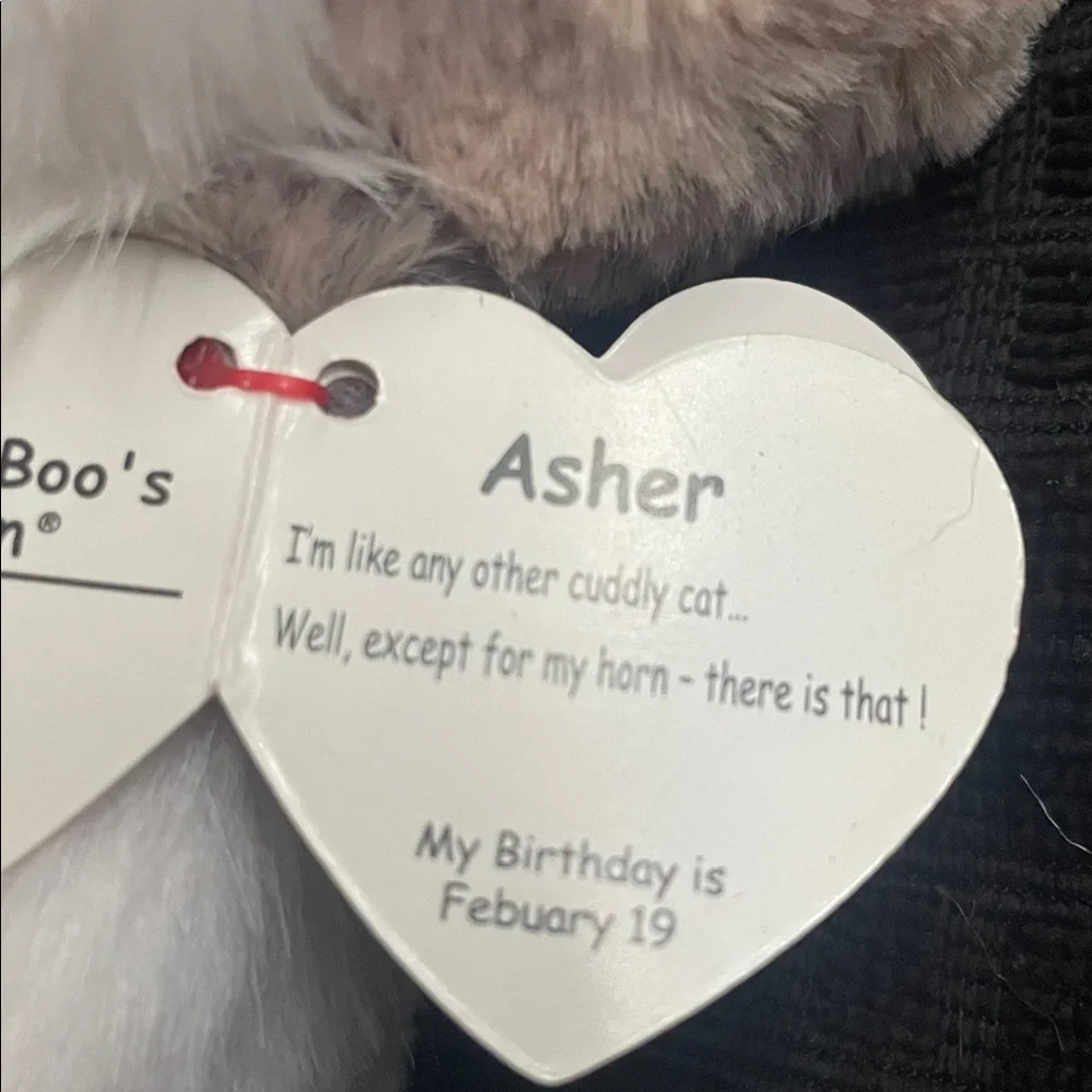 TY Beanie Boo Asher